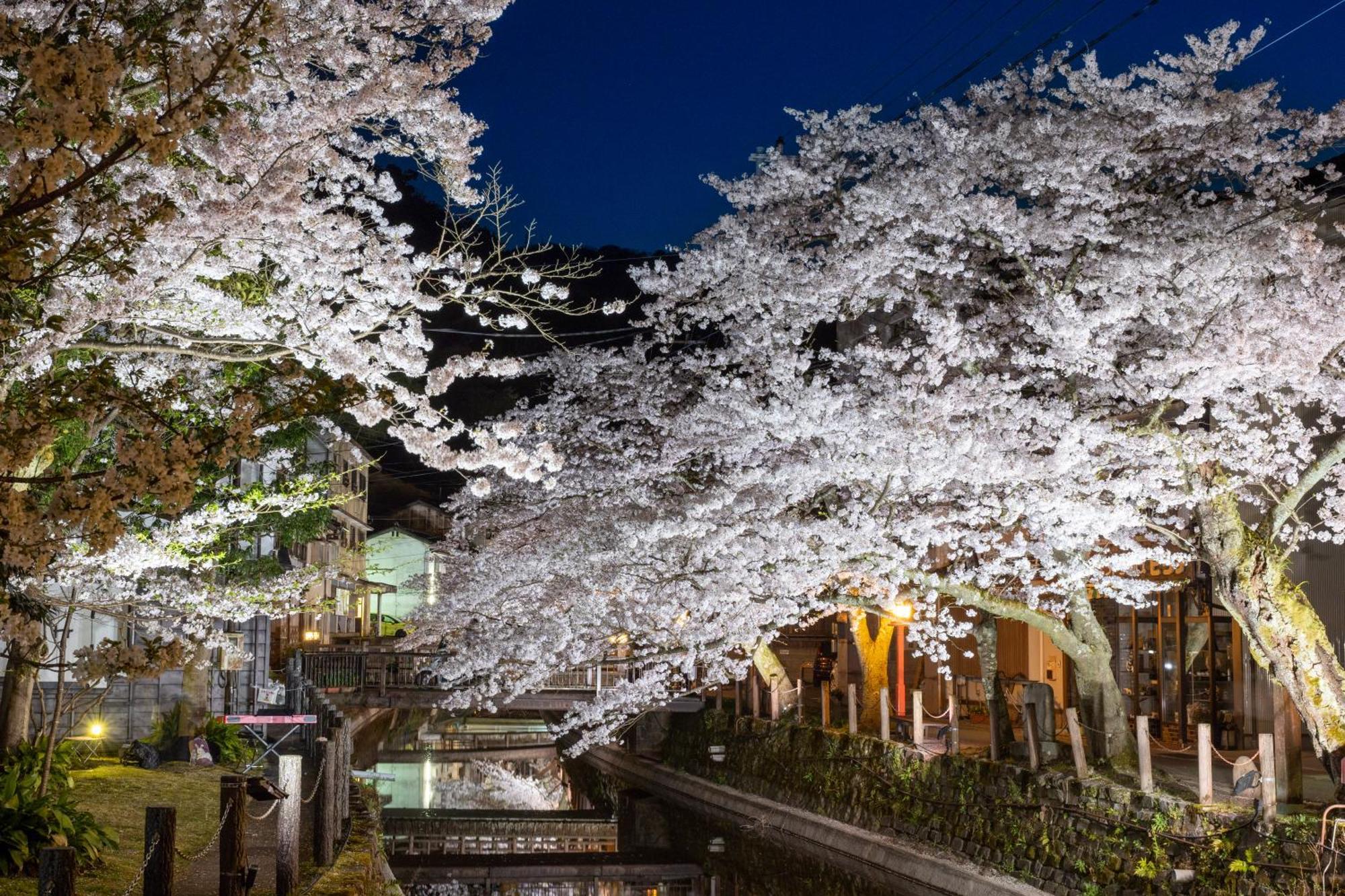 Mikuniya Otel Toyooka  Dış mekan fotoğraf