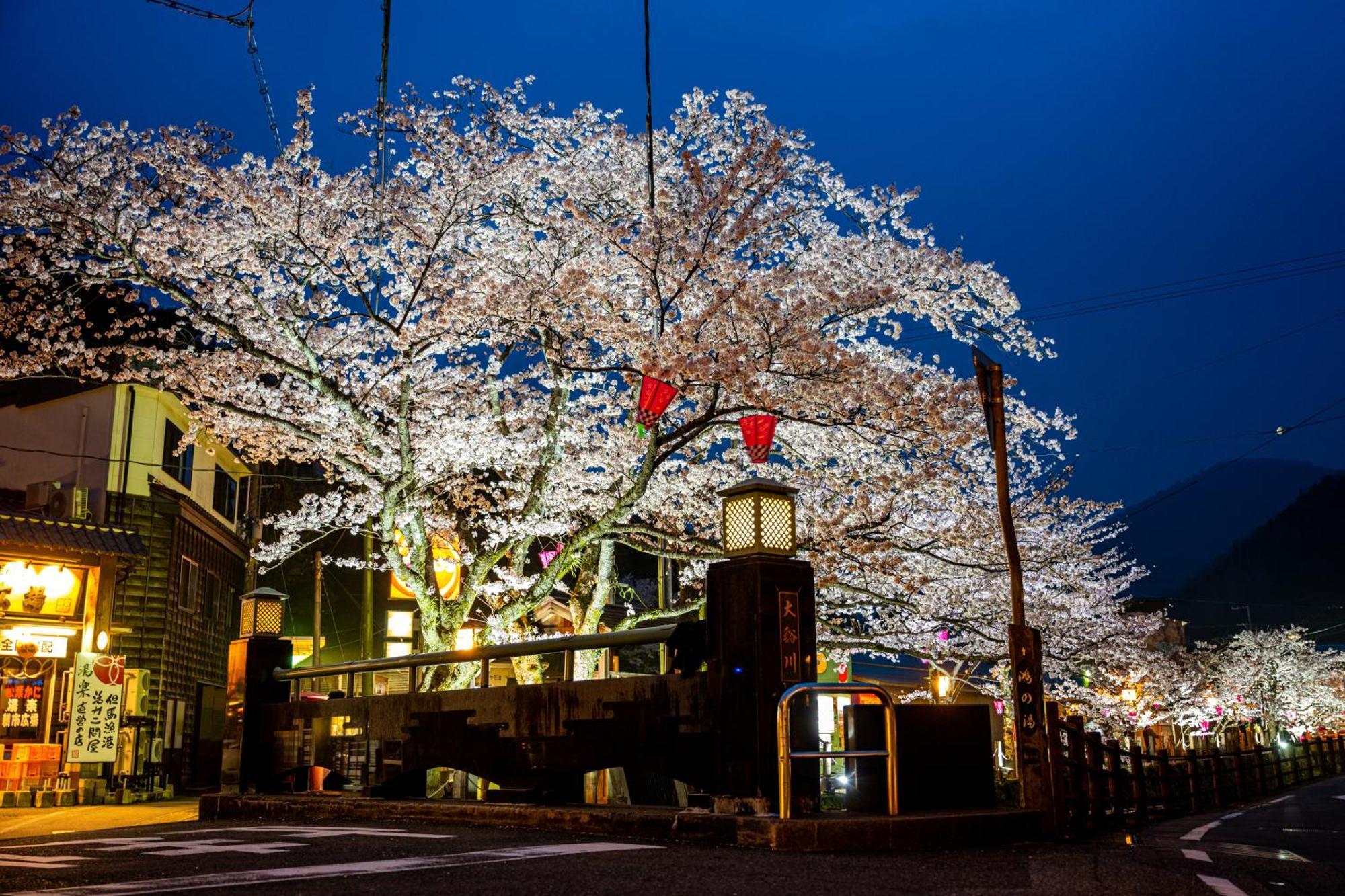 Mikuniya Otel Toyooka  Dış mekan fotoğraf