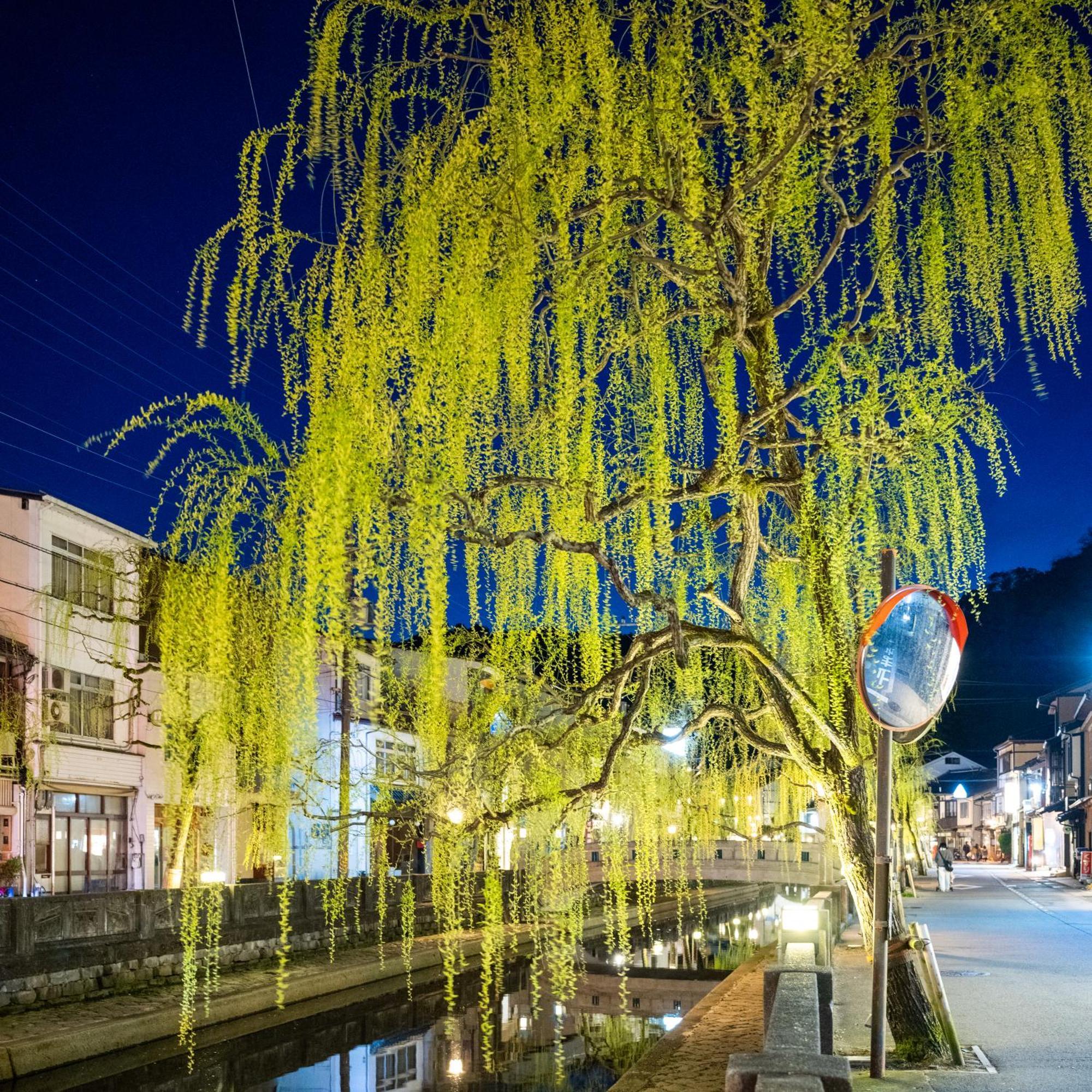 Mikuniya Otel Toyooka  Dış mekan fotoğraf